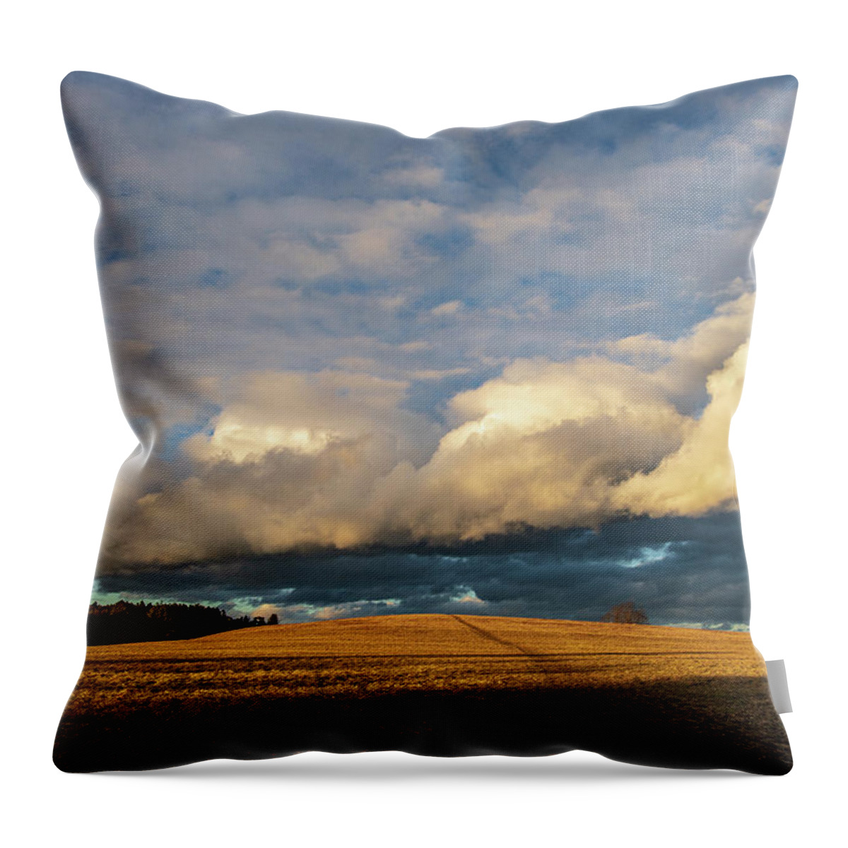 Storm Throw Pillow featuring the photograph Dexter Drumlin View of Incoming Storm 1 by Michael Saunders