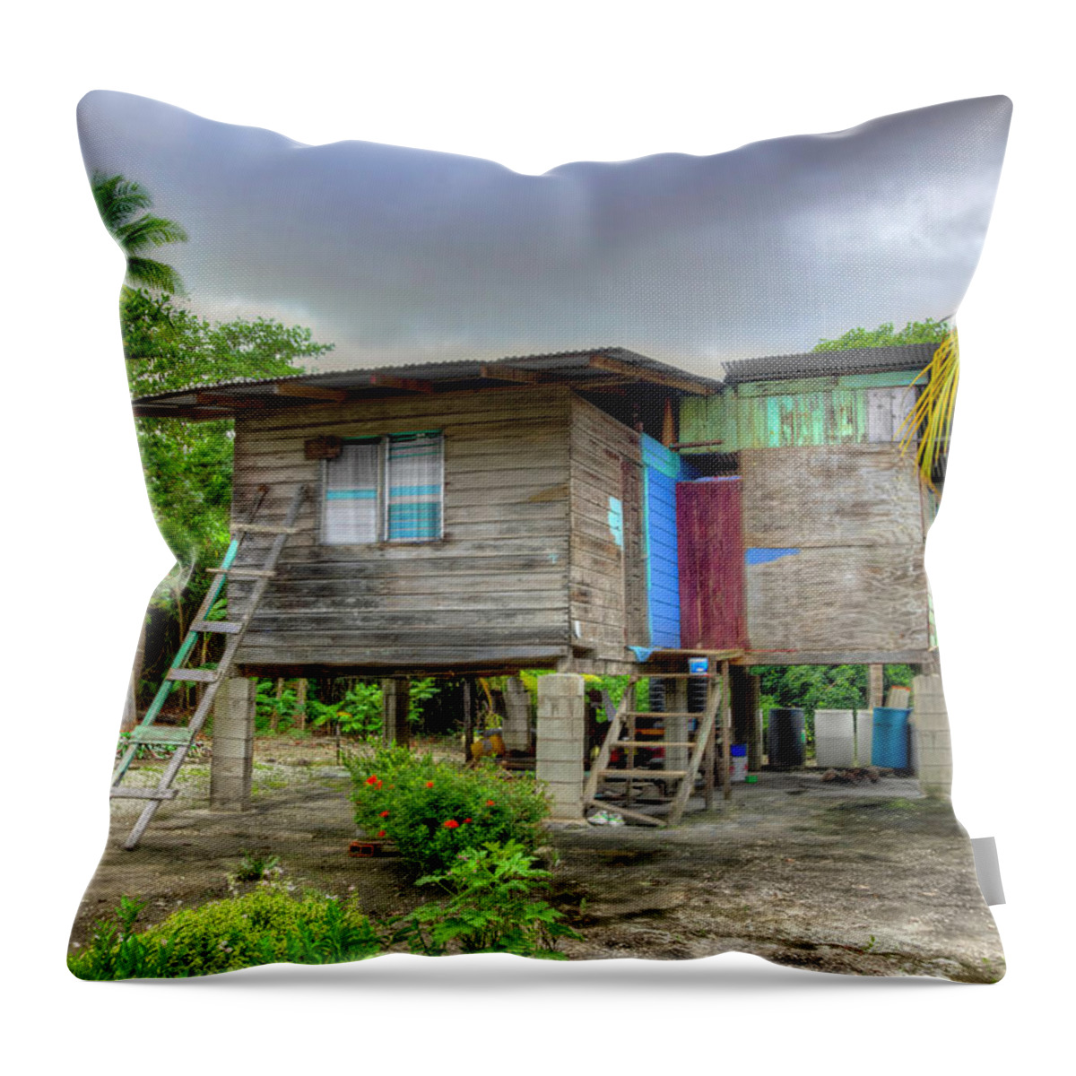 Trinidad Throw Pillow featuring the photograph Storm Survivor by Nadia Sanowar
