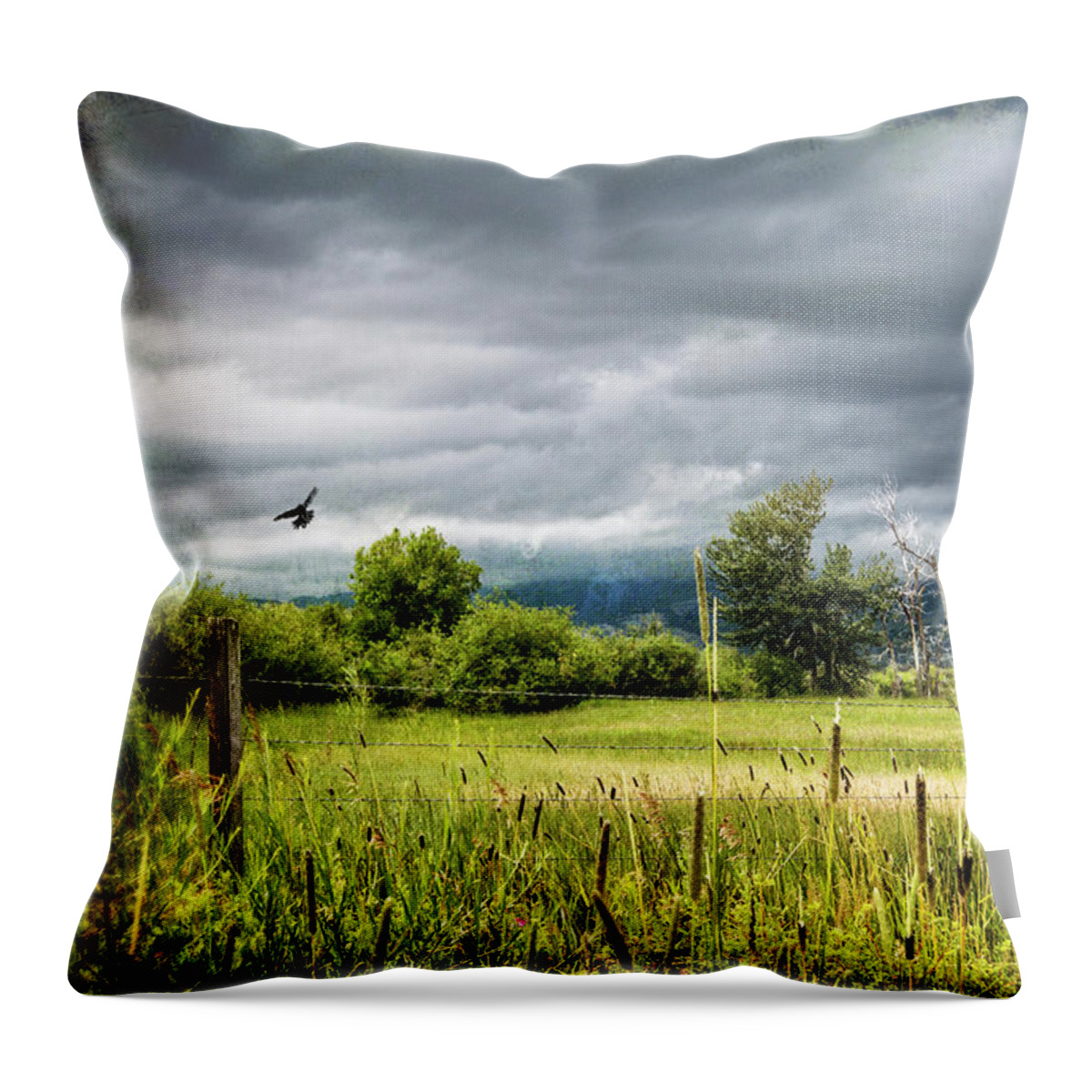 Clouds Throw Pillow featuring the photograph Storms Coming by Carmen Kern