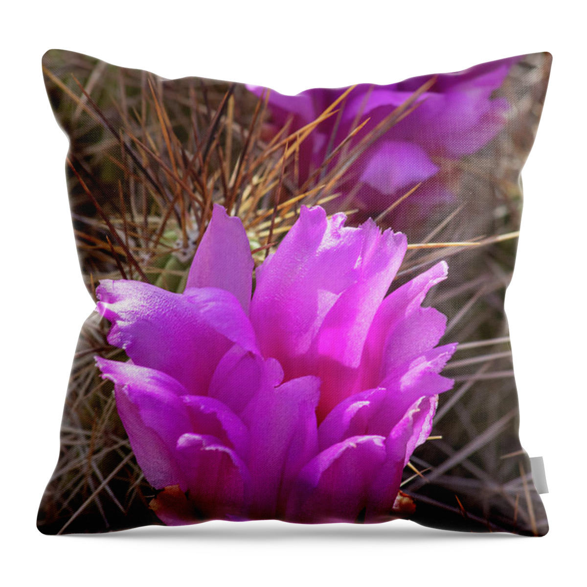 Hedghog Cactus Throw Pillow featuring the photograph Strawberry Hedgehog Cactus Flowers by Elisabeth Lucas