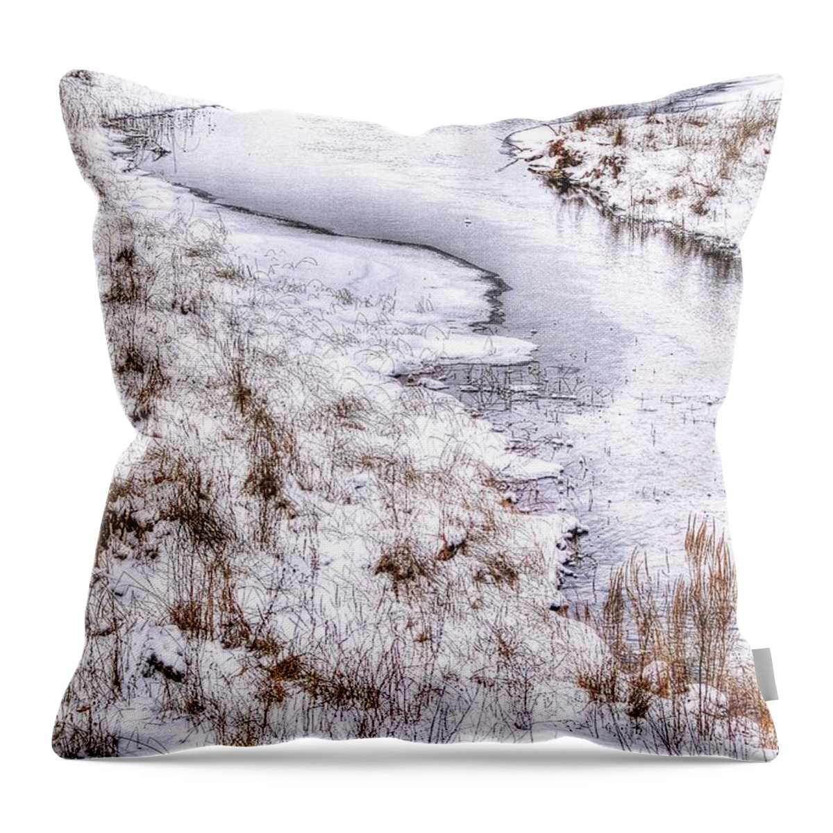 Stream Throw Pillow featuring the photograph Stream in Winter by Randy Pollard
