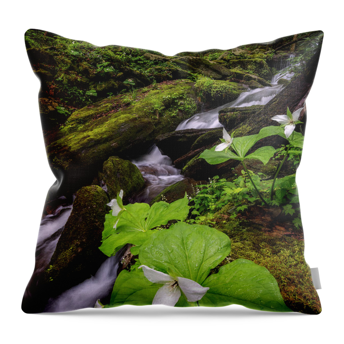 Trillium Throw Pillow featuring the photograph Stream Side Trillium by Anthony Heflin