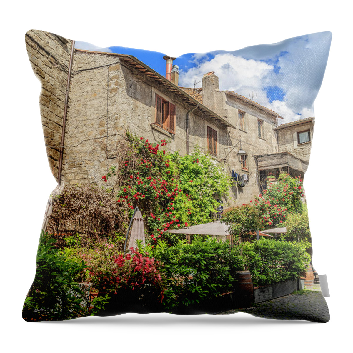 Street Throw Pillow featuring the photograph Street of Viterbo by Fabiano Di Paolo