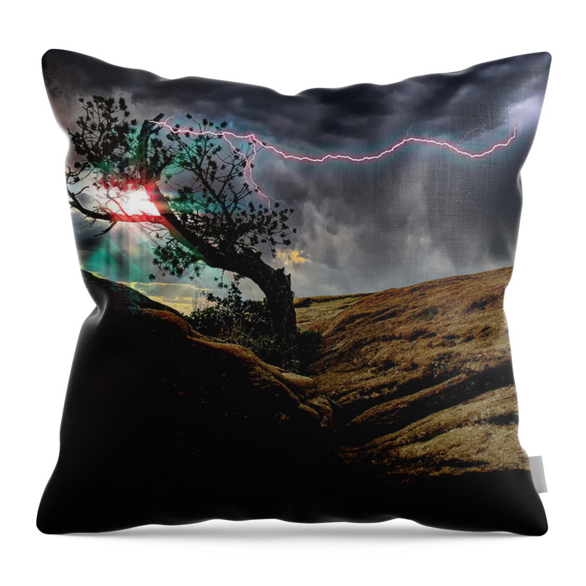 Tree Throw Pillow featuring the photograph Struck by Lightning by Harry Spitz