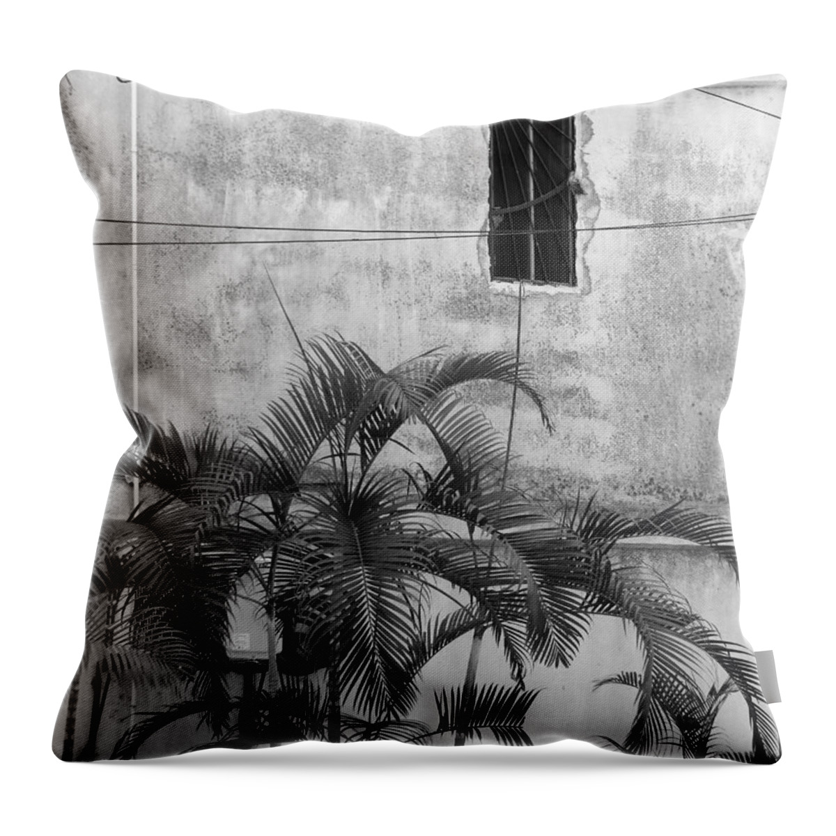 Palms Against A Stucco Wall Throw Pillow featuring the photograph Vacant by Rosanne Licciardi