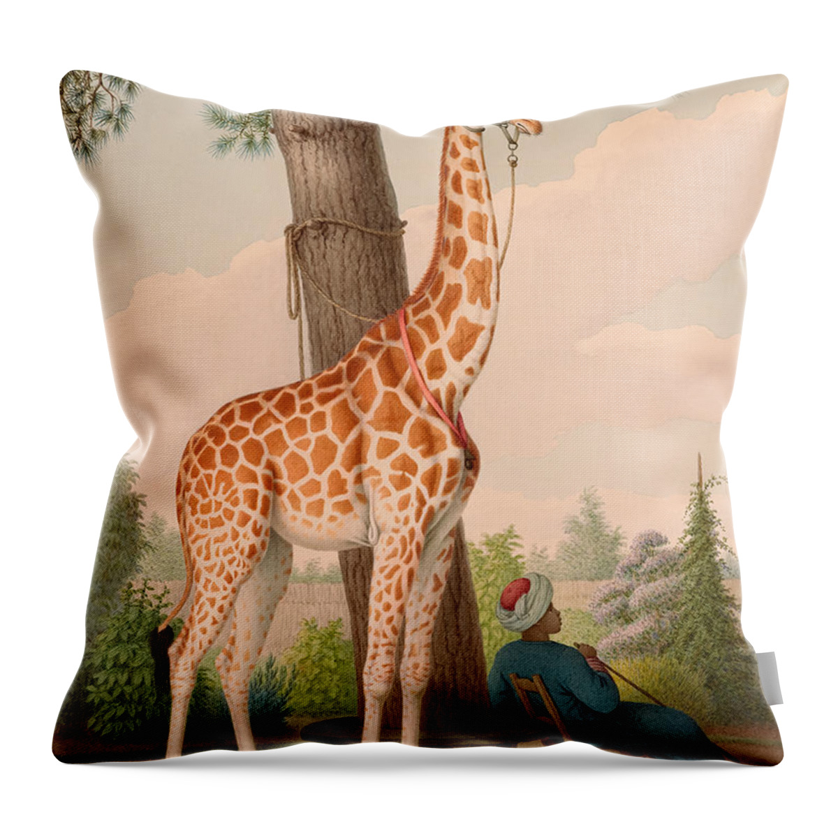 Nicolas Huet The Younger Throw Pillow featuring the painting Study of the Giraffe Given to Charles X by Nicolas Huet the Younger