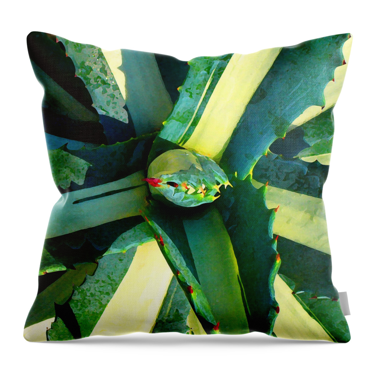 Succulent Throw Pillow featuring the photograph Succulent Square Close-Up 6 by Amy Vangsgard