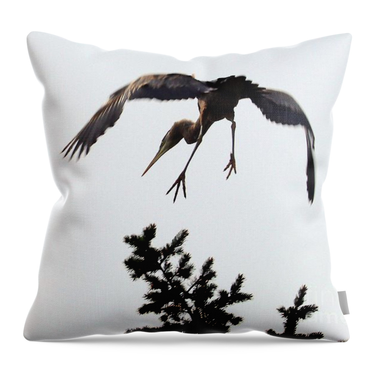 Heron Throw Pillow featuring the photograph Such Grace by Kimberly Furey