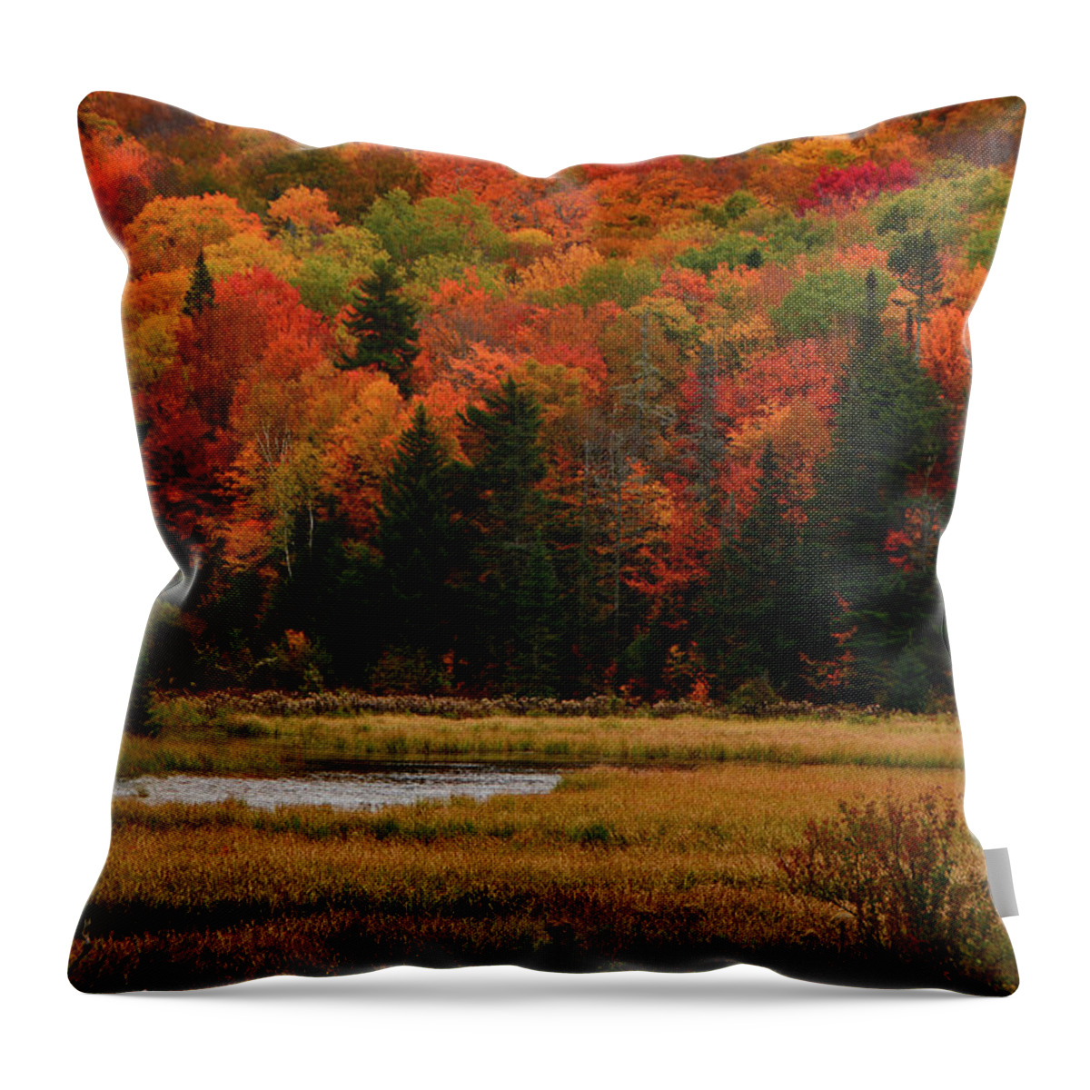 Sucker Pond Colors Throw Pillow featuring the photograph Sucker Pond Colors by Raymond Salani III