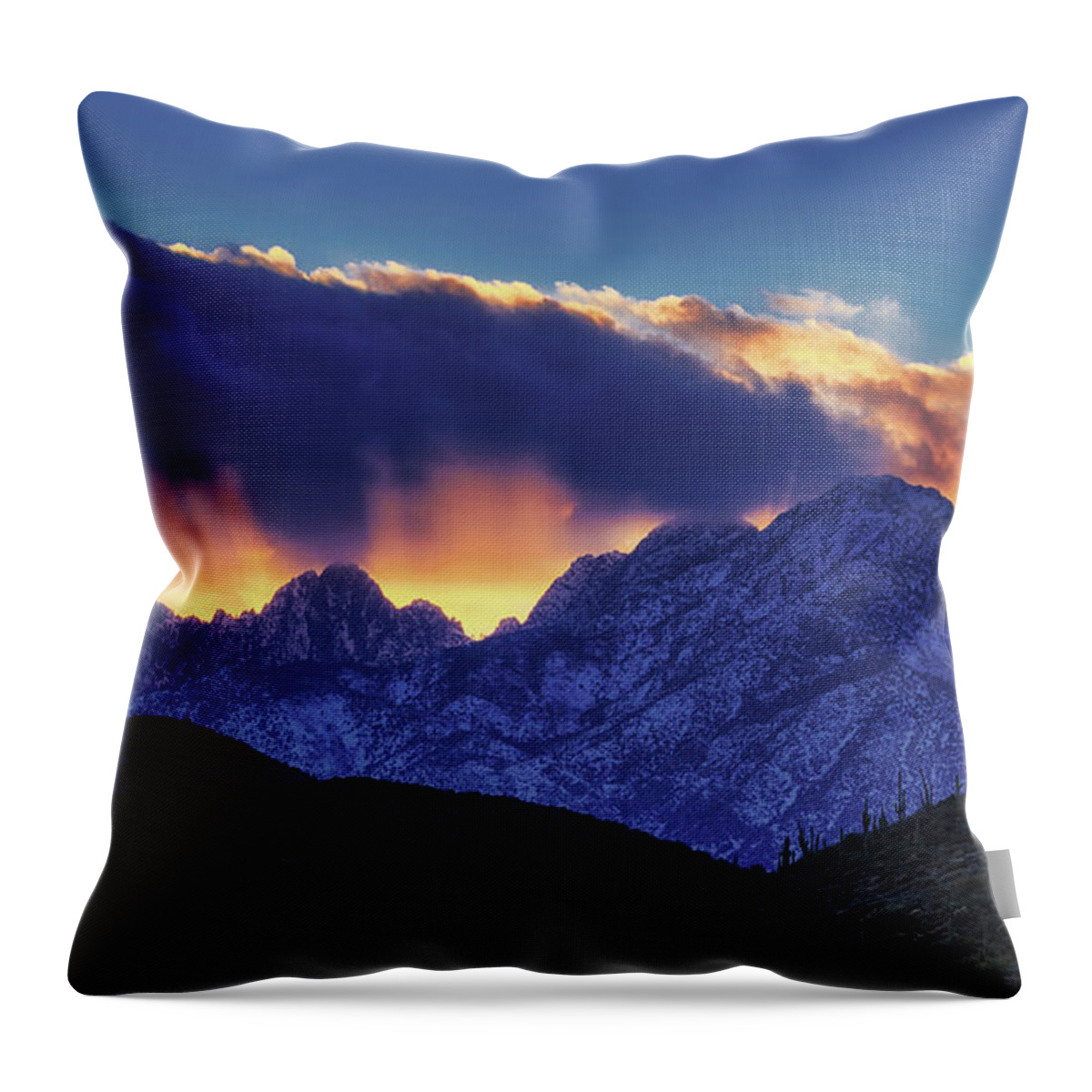 American Southwest Throw Pillow featuring the photograph Sudden Splendor by Rick Furmanek