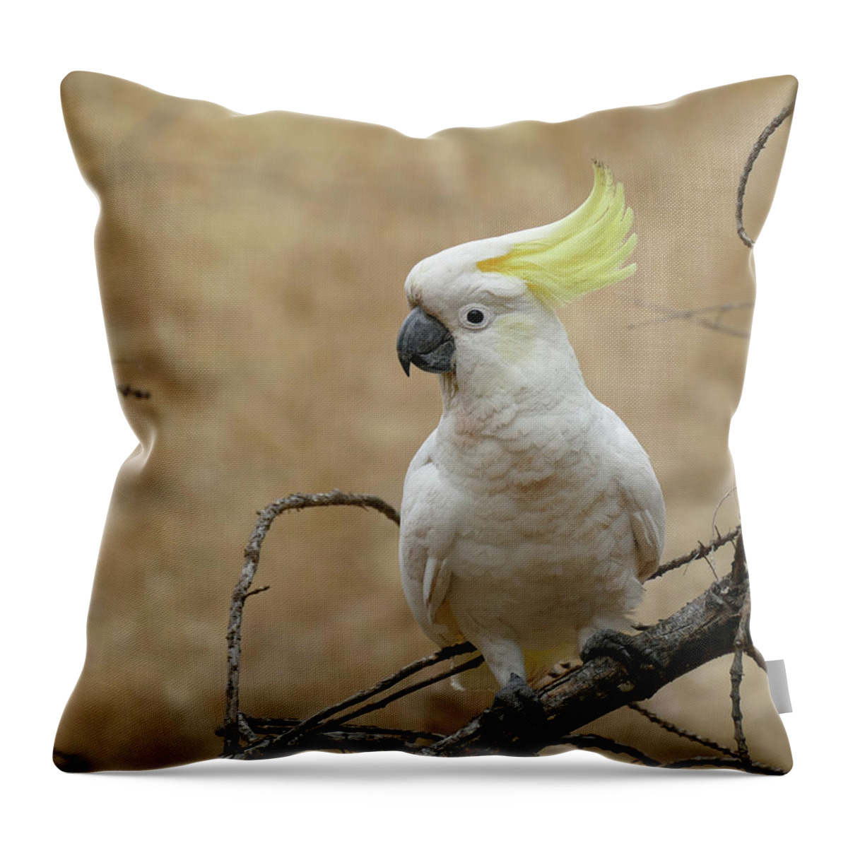 Animals Throw Pillow featuring the photograph Sulphur-crested Cockatoo perched on a branch by Maryse Jansen