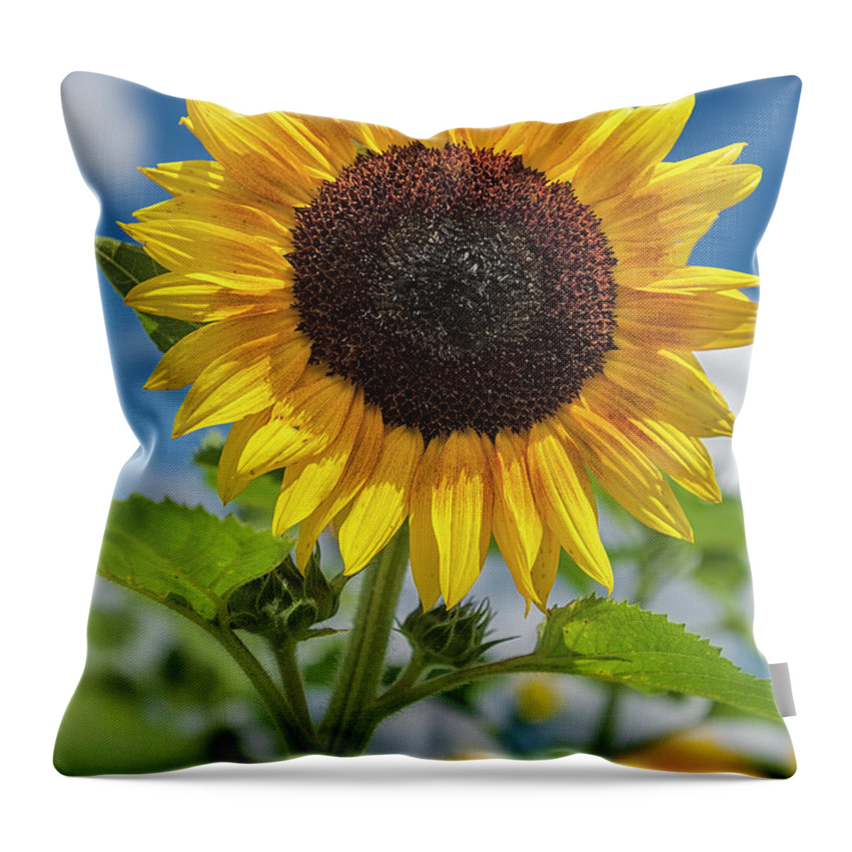 Maryland Throw Pillow featuring the painting Summer Arrival 2 by Robert Fawcett