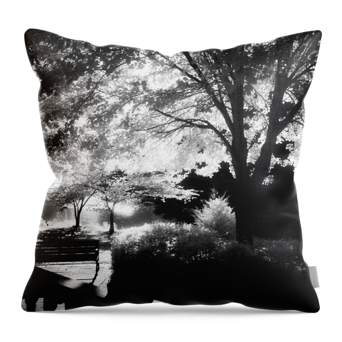 Infrared Black And White Throw Pillow featuring the photograph Summer at Quiet Waters No.7 - Infrared Black and White Film Photograph by Steve Ember