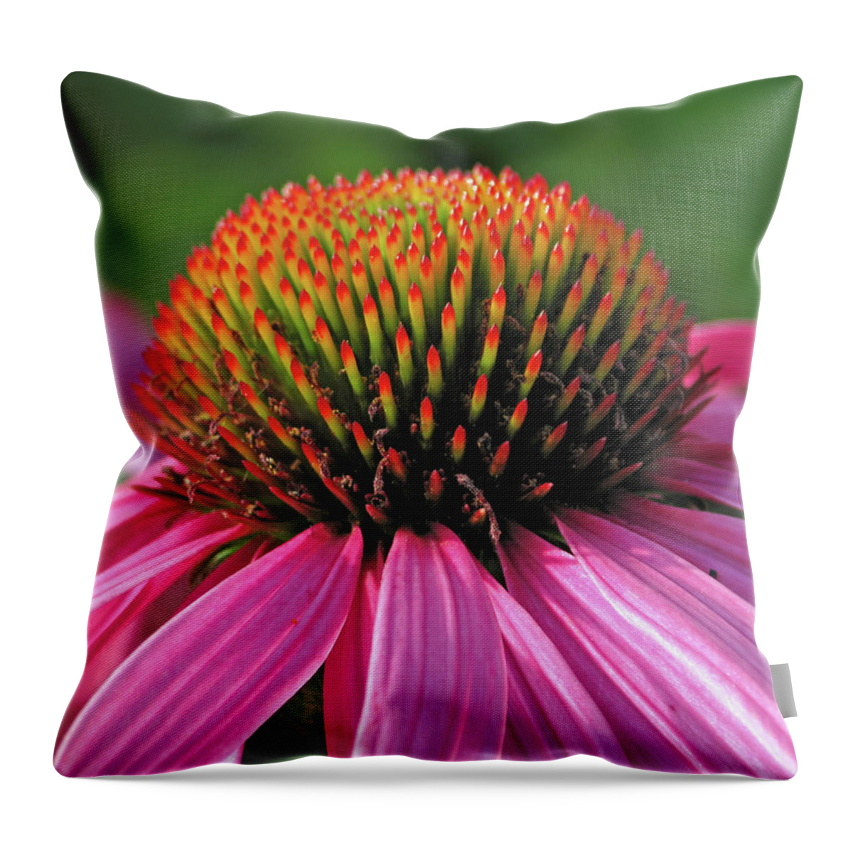 Summer Throw Pillow featuring the photograph Summer Beauty by Lens Art Photography By Larry Trager