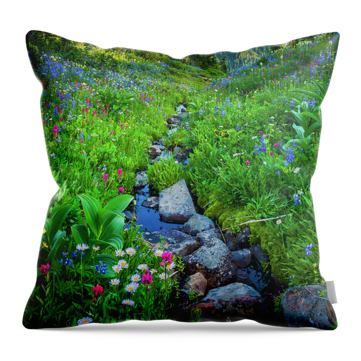 America Throw Pillow featuring the photograph Summer Creek by Inge Johnsson