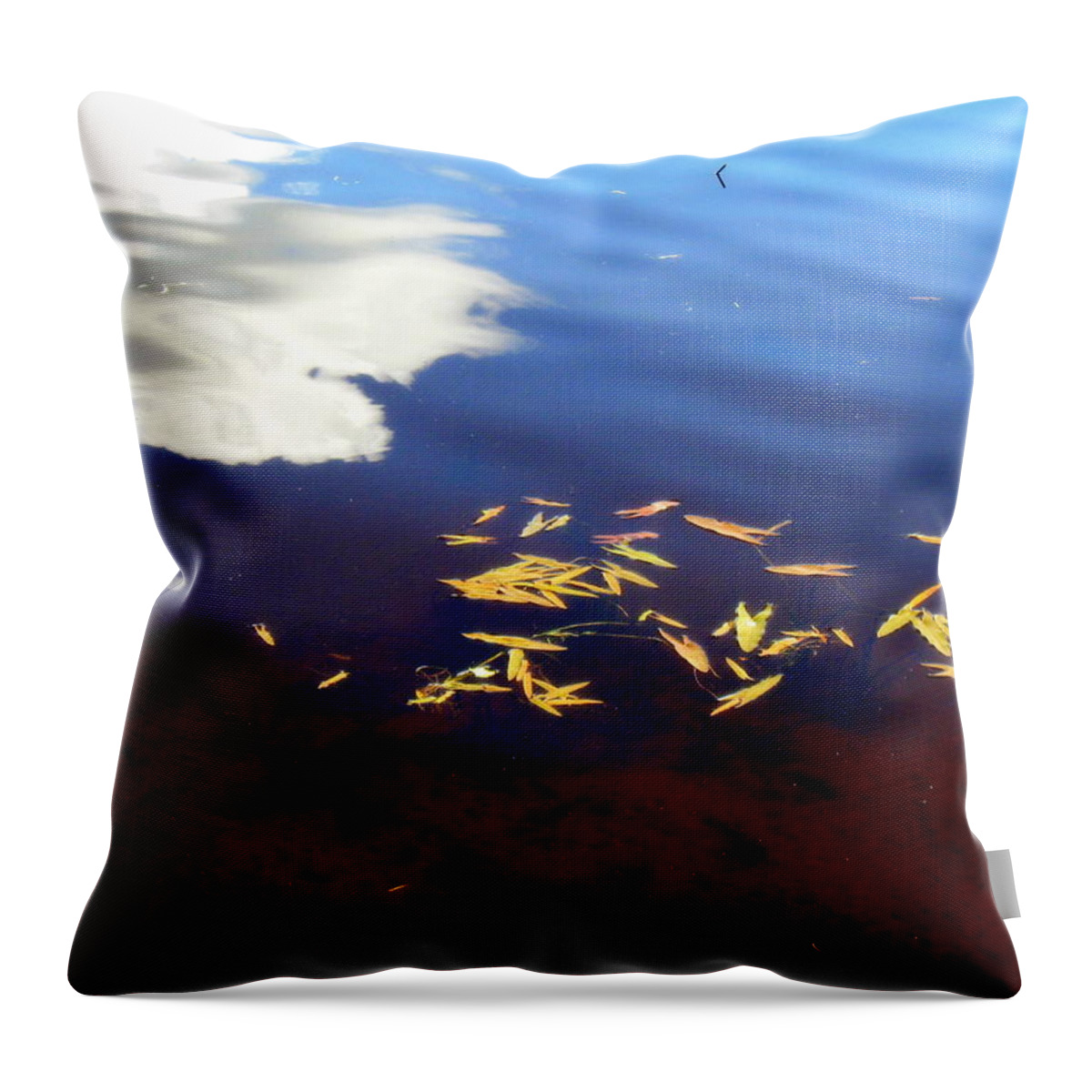 Summer Throw Pillow featuring the photograph Summer day in pond by Pauli Hyvonen