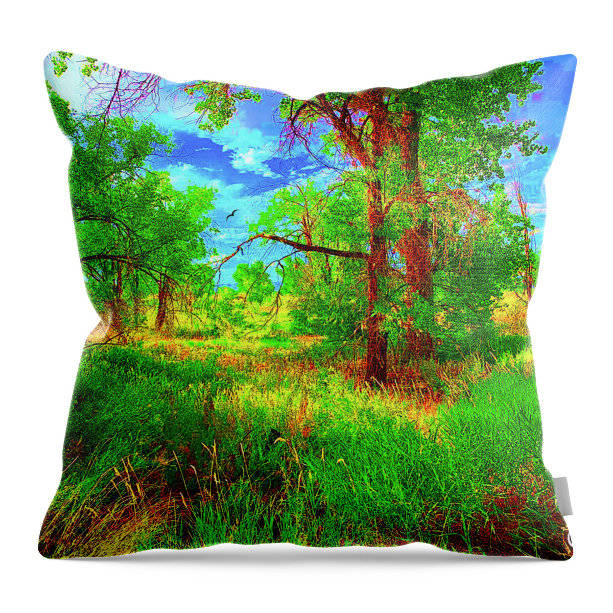 Trees Throw Pillow featuring the digital art Summer Fields by CHAZ Daugherty