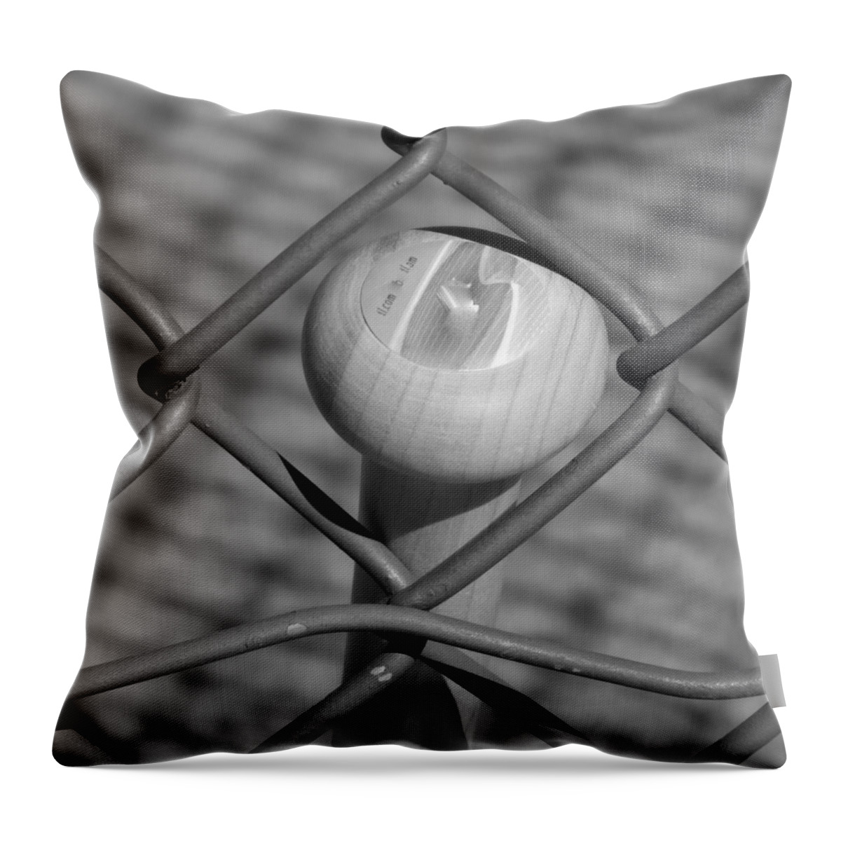 Summer Game Throw Pillow featuring the photograph Summer Game by Bill Tomsa
