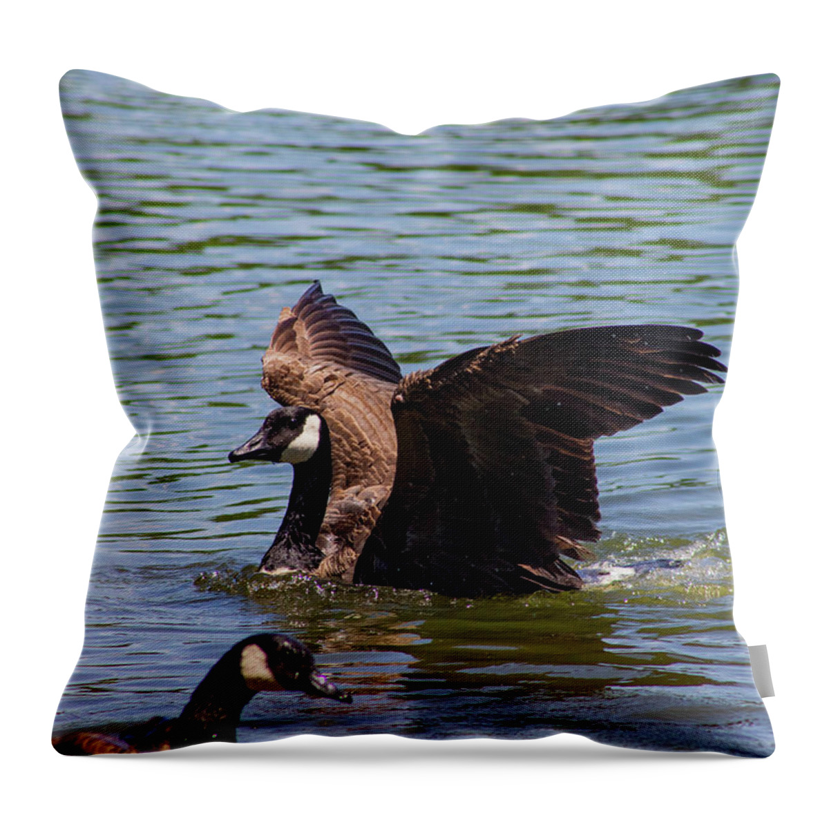 Goose Throw Pillow featuring the photograph Summer Goose of Brooklyn by Auden Johnson