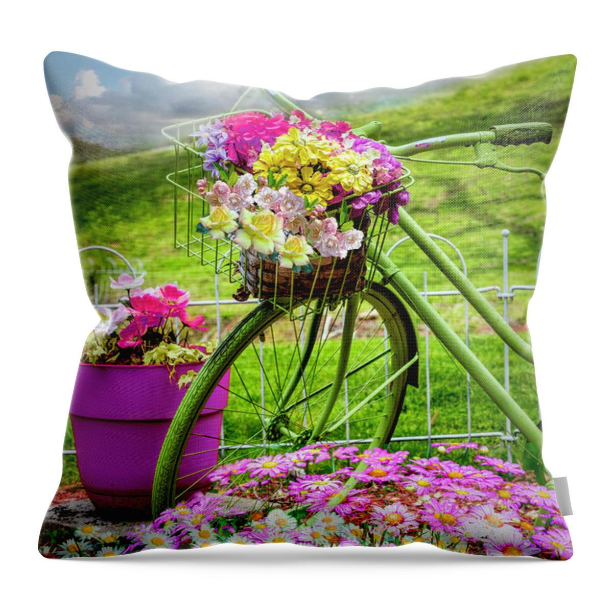 Birds Throw Pillow featuring the photograph Summer Morning by Debra and Dave Vanderlaan