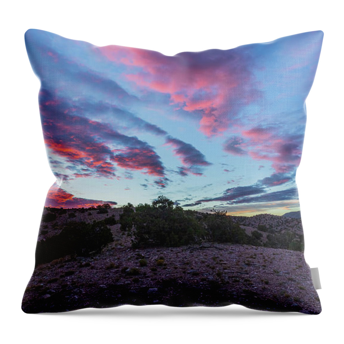 Landscape Throw Pillow featuring the photograph Summer Morning by Seth Betterly