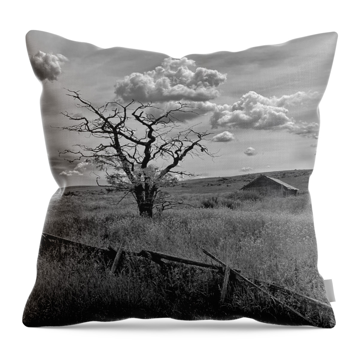 Tree Throw Pillow featuring the photograph Summer Storm Clouds by Jerry Abbott