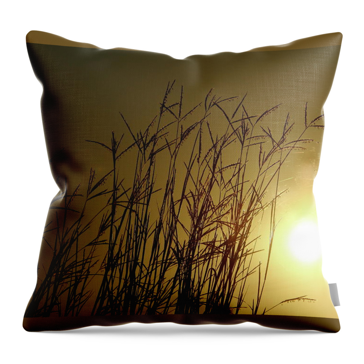 Field Throw Pillow featuring the photograph Summer Sunrise by Lens Art Photography By Larry Trager