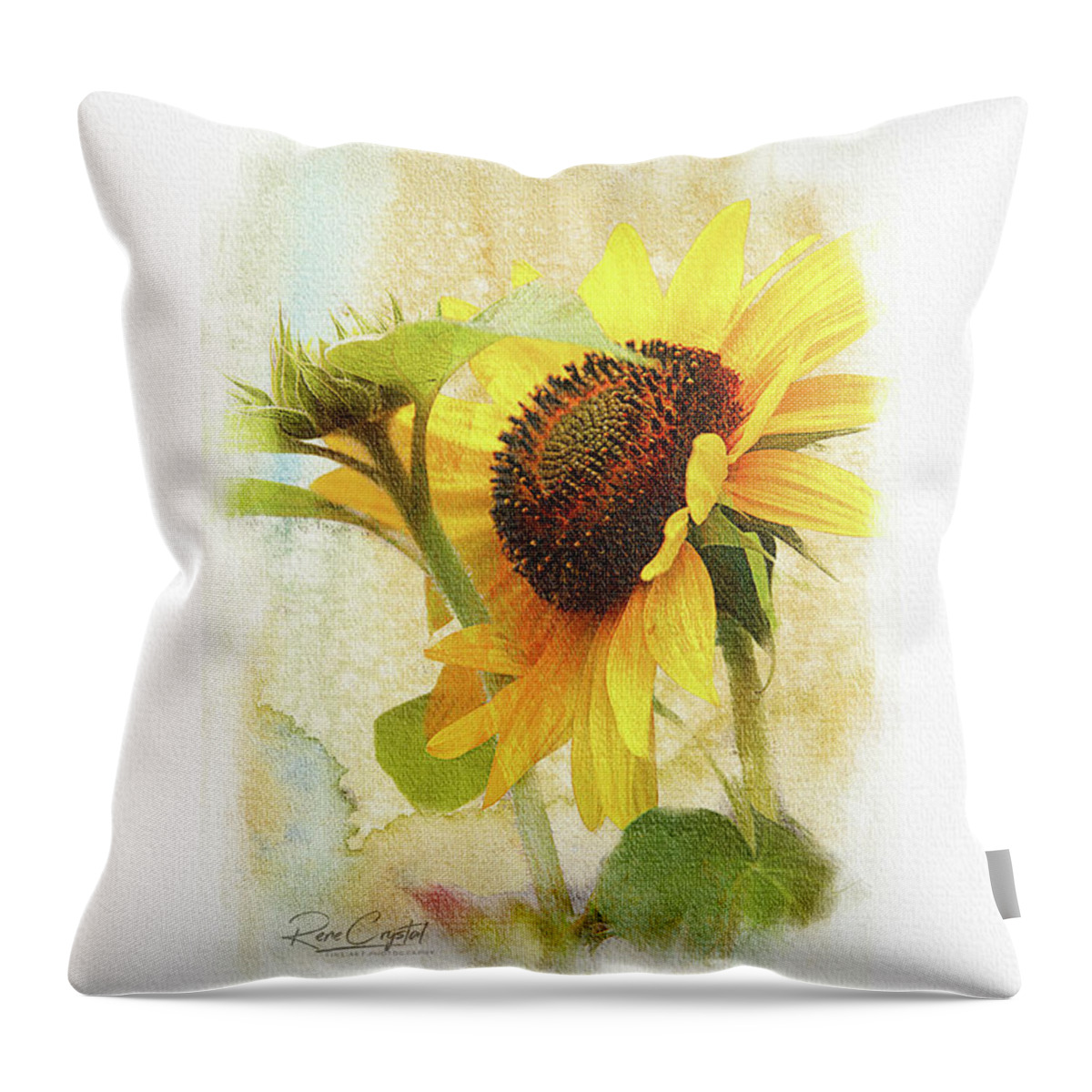 Sunflowers Throw Pillow featuring the photograph Summer's Big Yellow by Rene Crystal