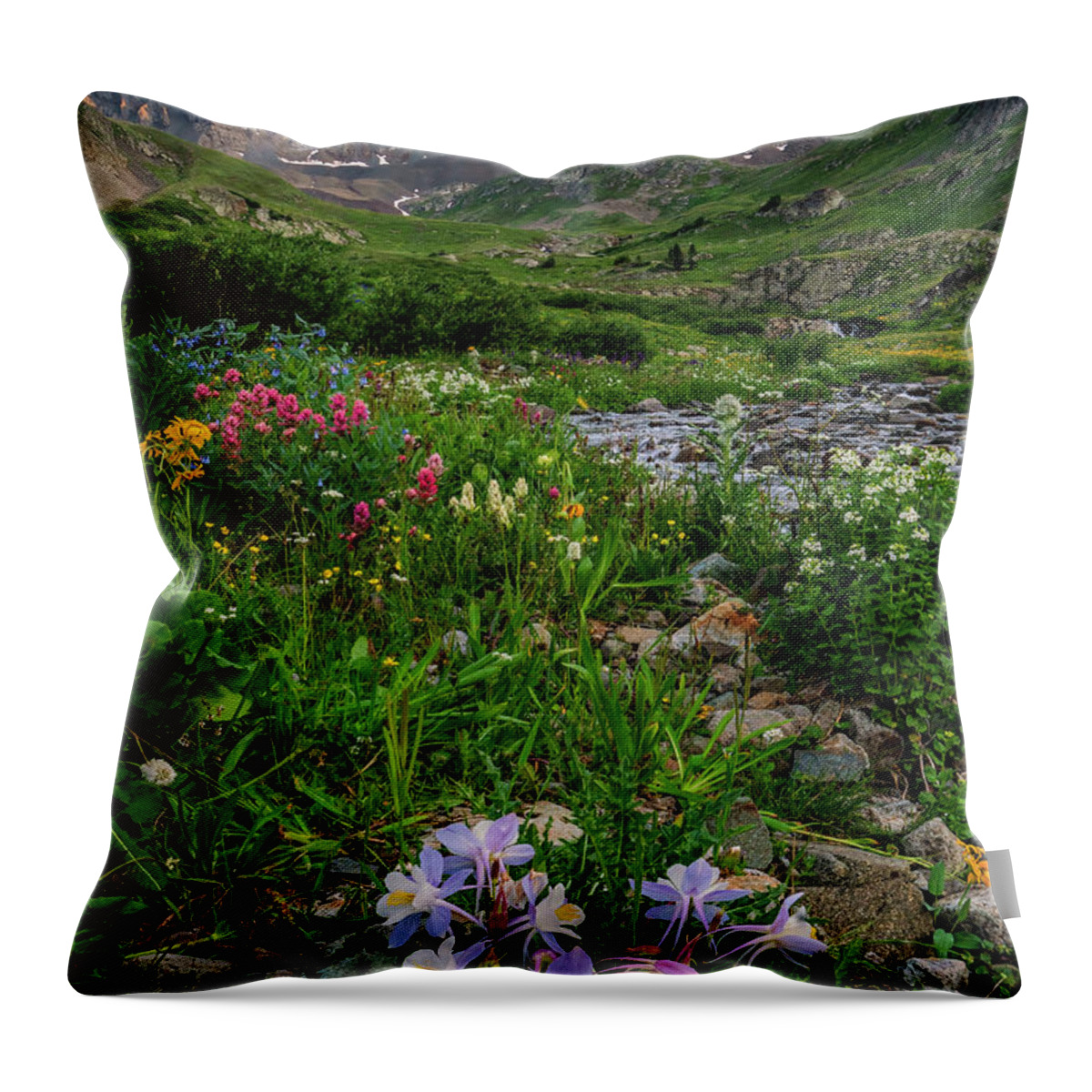 Colorado Throw Pillow featuring the photograph Summer's Glory by David Soldano