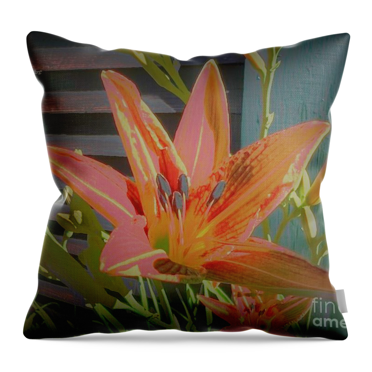 Lilly Throw Pillow featuring the photograph Summertime Road Side Ditch Lilly by John Anderson