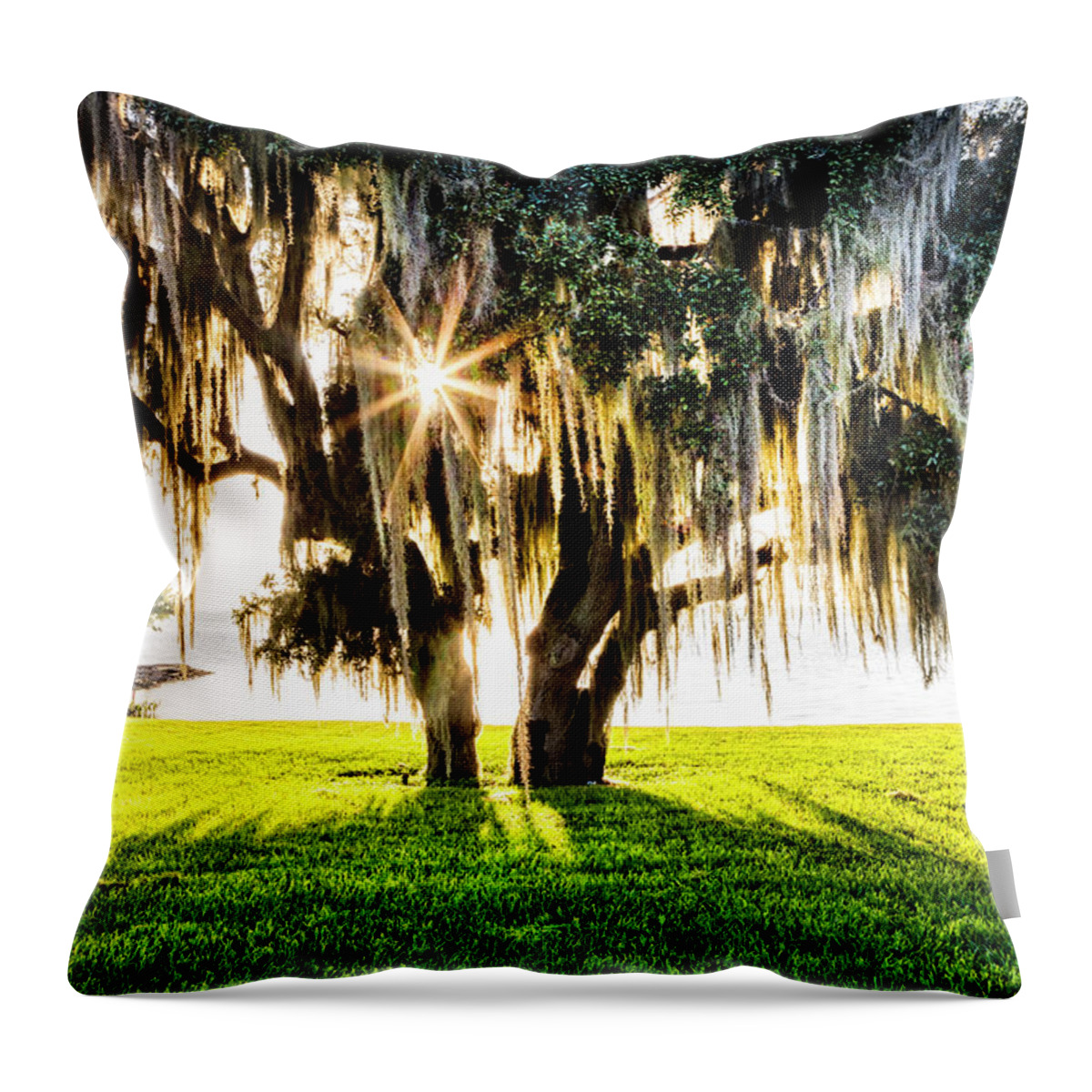 Clouds Throw Pillow featuring the photograph Sun and Shadows by Debra and Dave Vanderlaan