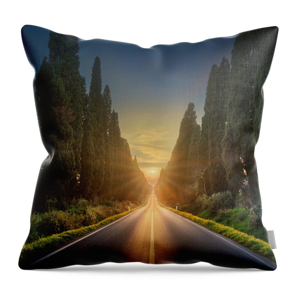 Bolgheri Throw Pillow featuring the photograph Sun in the Middle in Bolgheri Boulevard by Stefano Orazzini