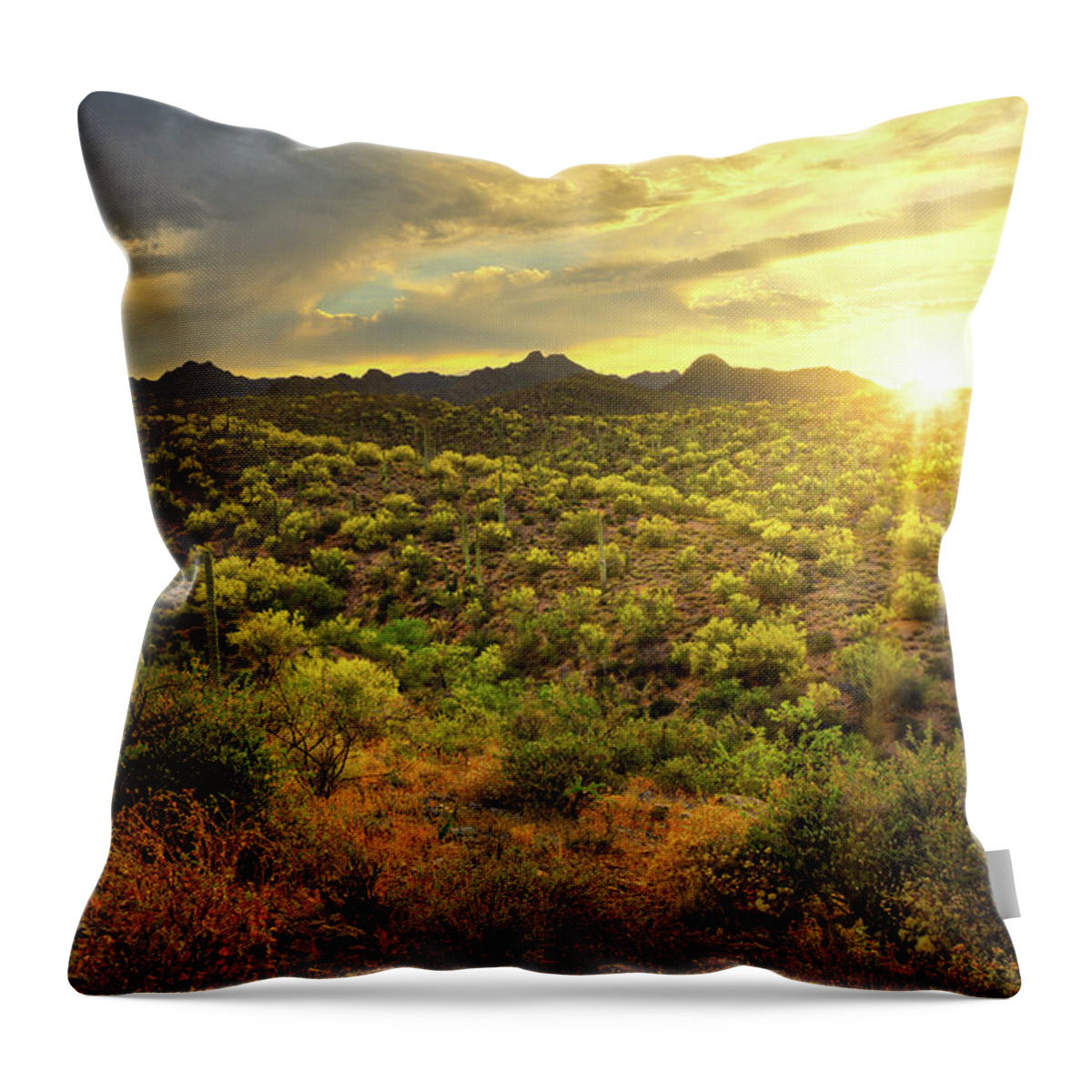 Tucson Throw Pillow featuring the photograph Sun rays over the Tucson Mountains, Arizona by Chance Kafka