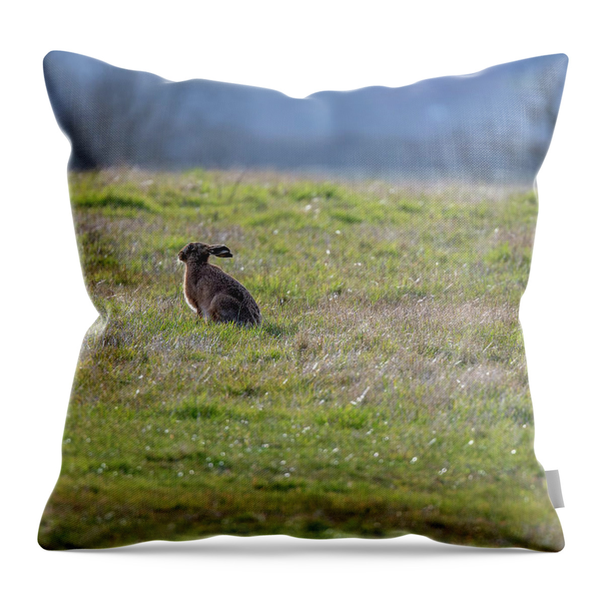 Brown Hare Throw Pillow featuring the photograph Sun Salutation by Mark Hunter