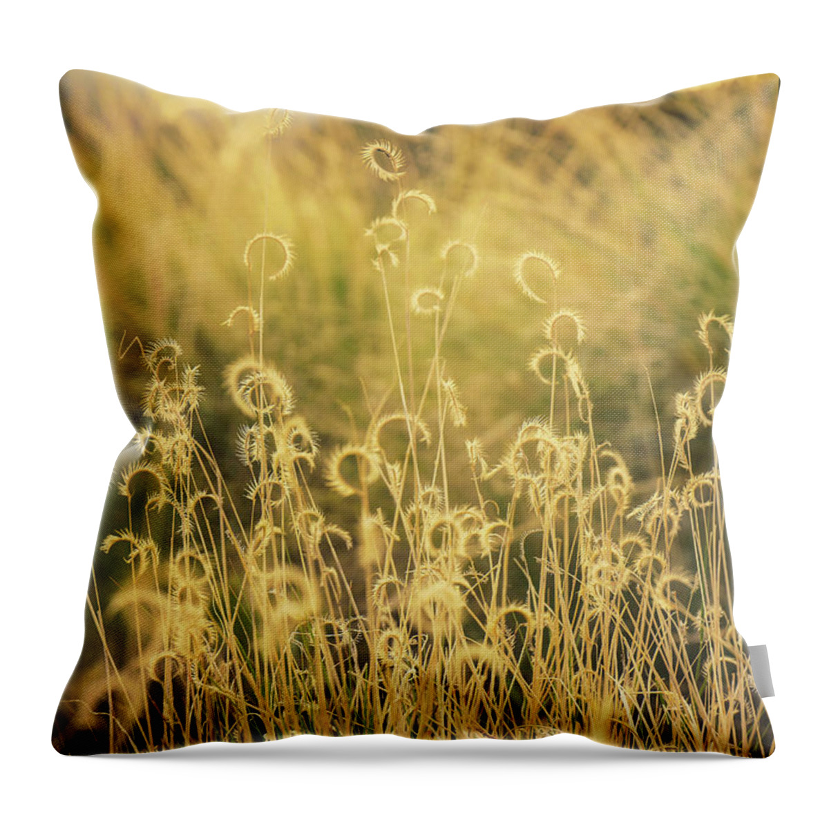 Mountain Throw Pillow featuring the photograph Sun Swirls by Go and Flow Photos