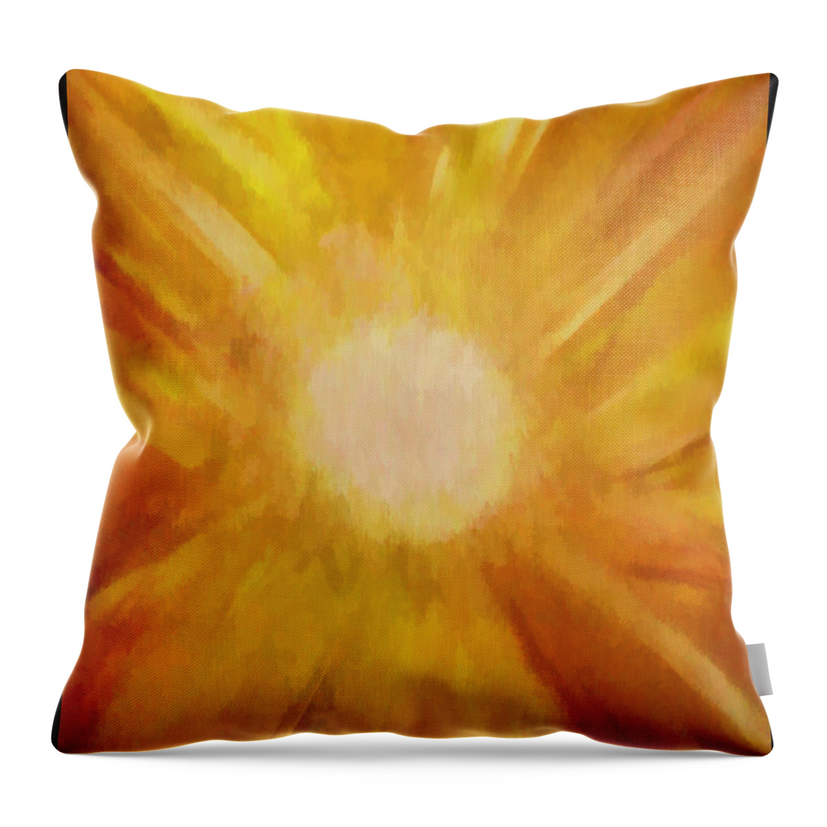 Sun Throw Pillow featuring the photograph Sunburst by Roberta Byram