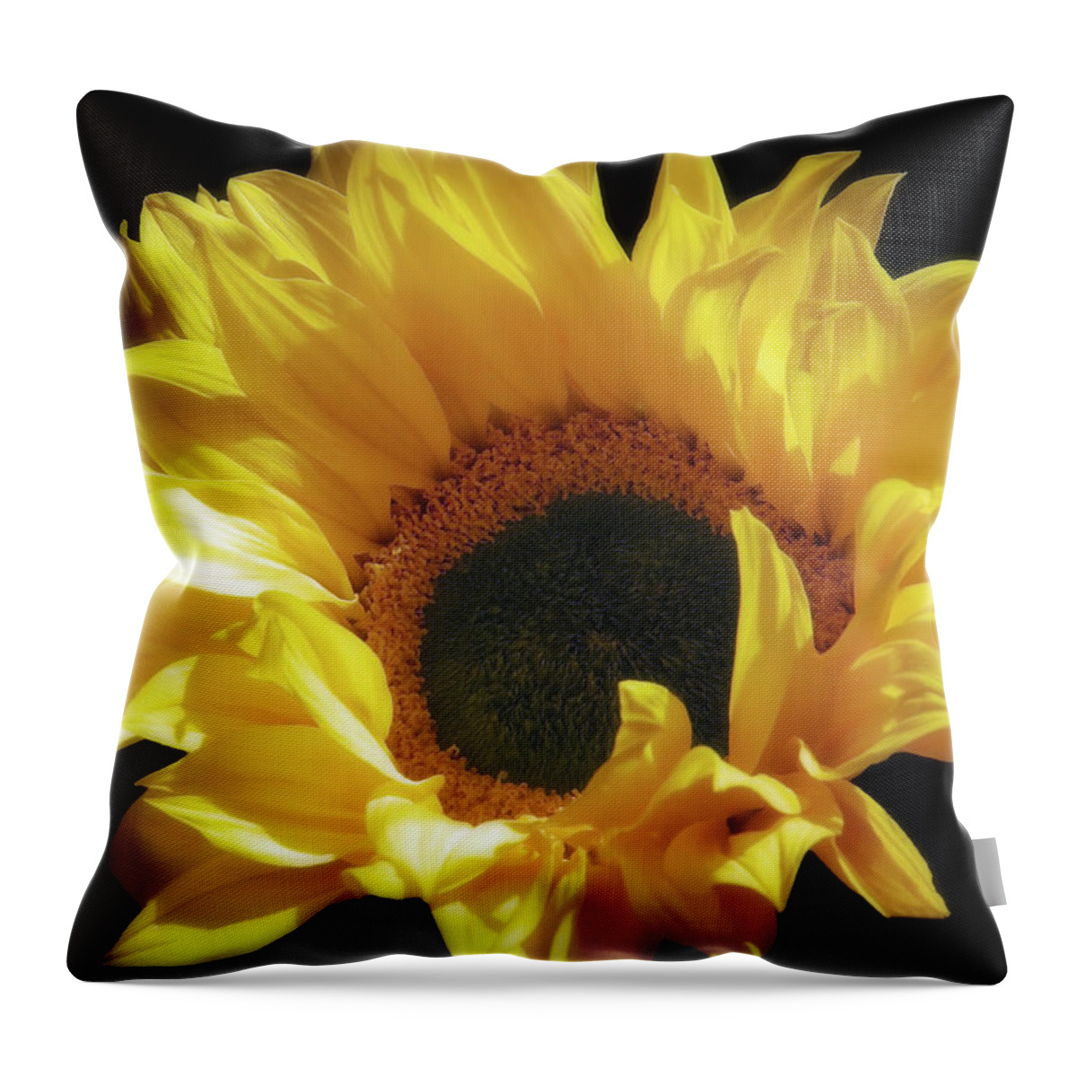 Flower Throw Pillow featuring the photograph Sunflower Beauty by Johanna Hurmerinta