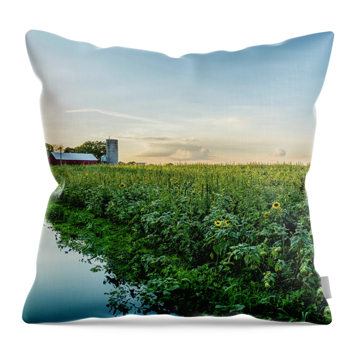 Sunflower Throw Pillow featuring the photograph Sunflower Field Reflections by Jennifer White