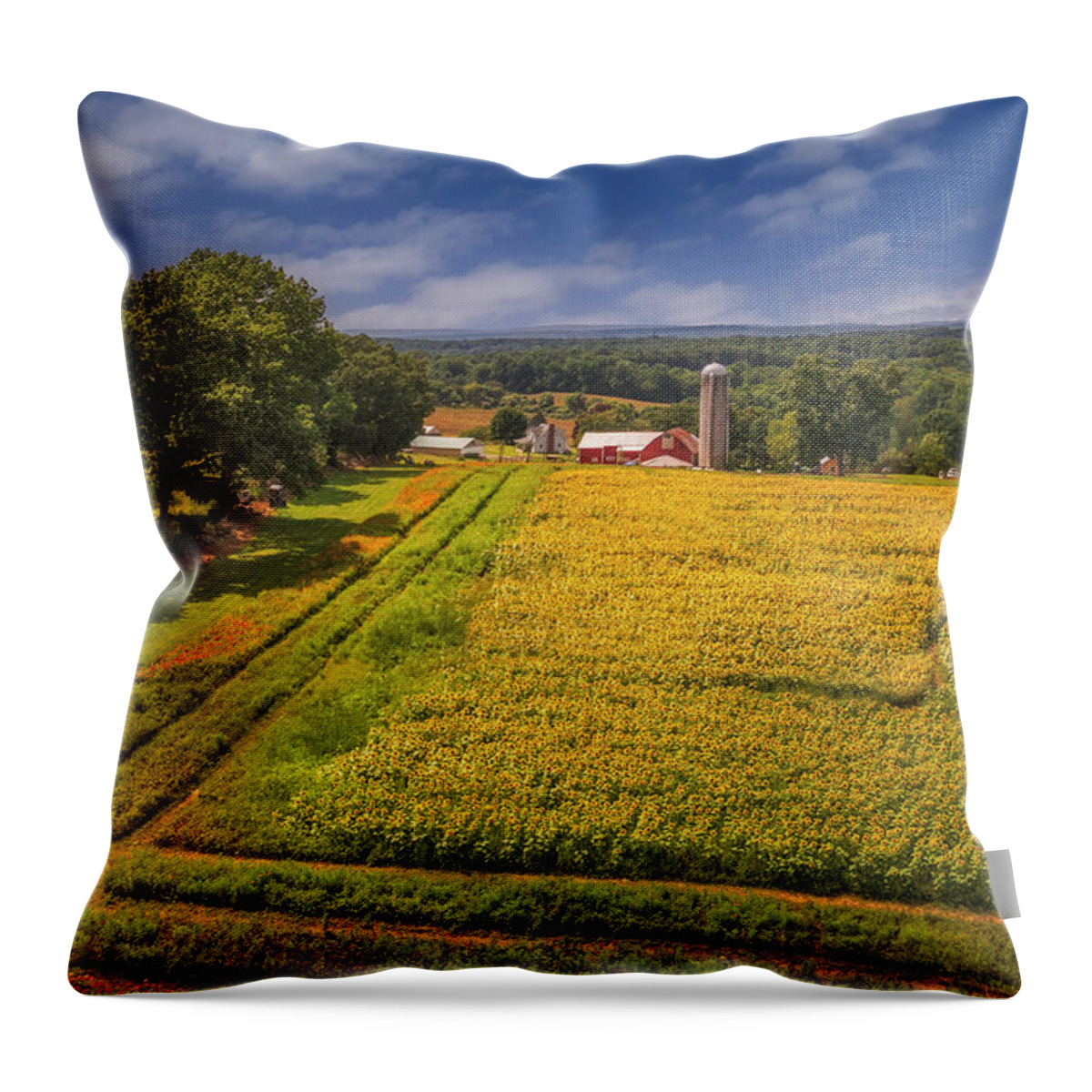 Sunflower Field Throw Pillow featuring the photograph Sunflower Fileds Aerial by Susan Candelario