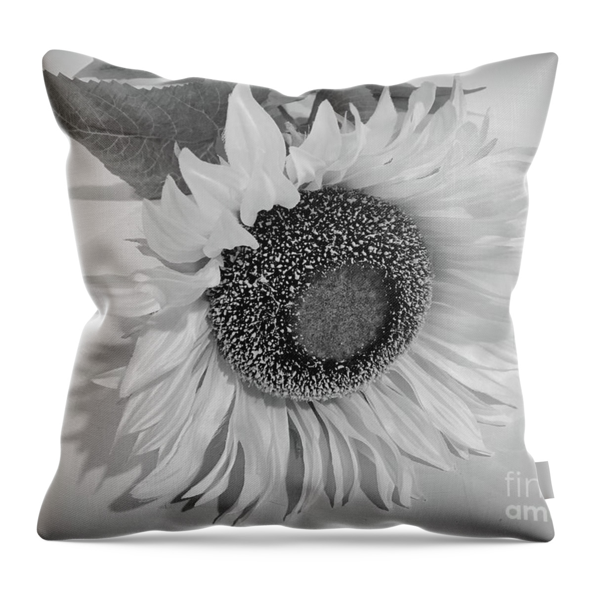 Art Throw Pillow featuring the photograph Sunflower In Monochrome by Jeannie Rhode