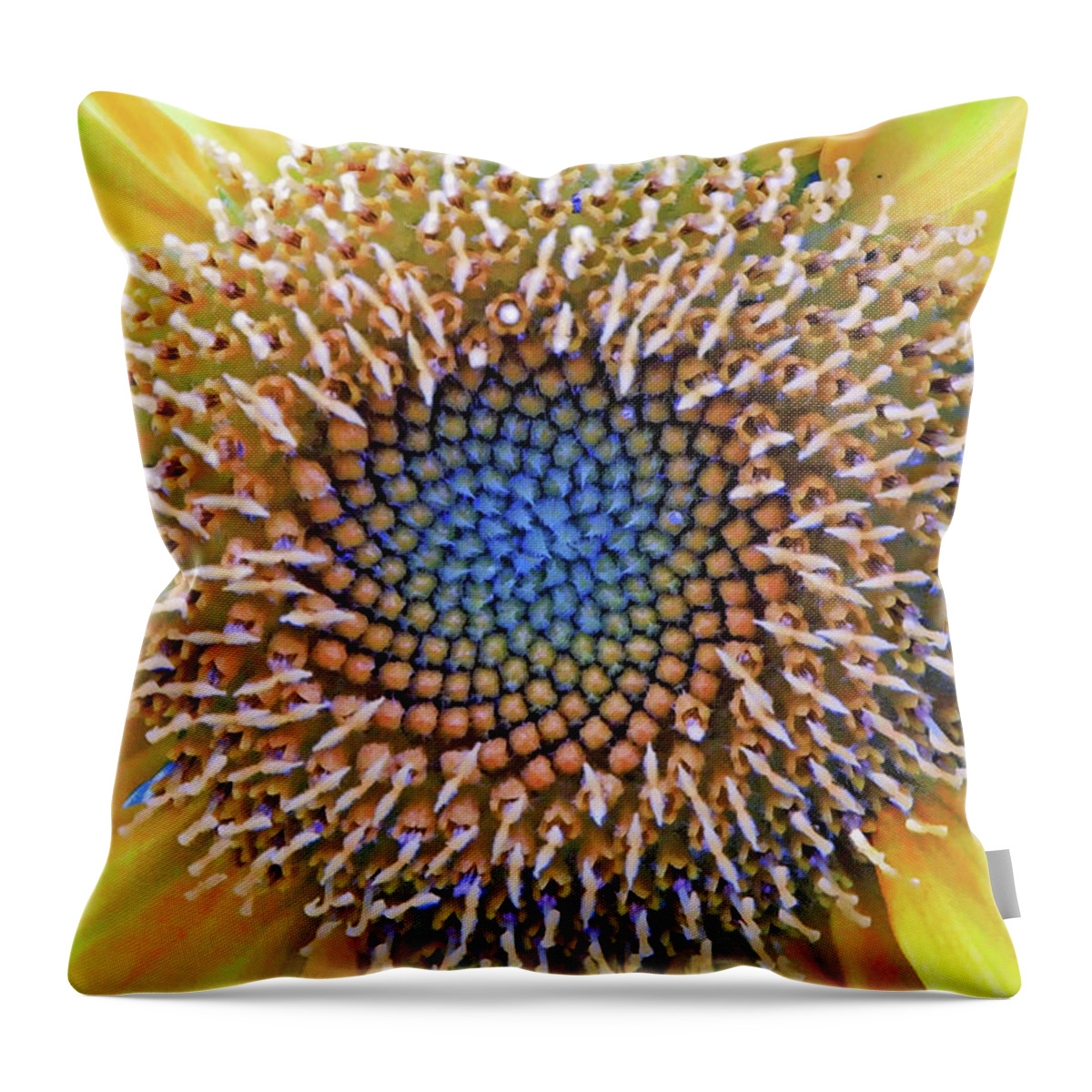 Pacino Gold Sunflower Throw Pillow featuring the photograph Sunflower Jewels by Suzanne Stout