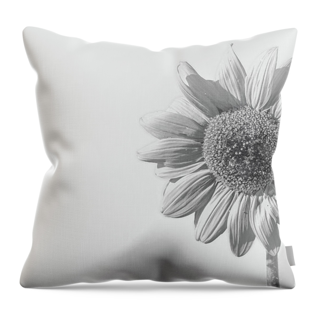 Agriculture Throw Pillow featuring the photograph Sunflower by Mike Fusaro