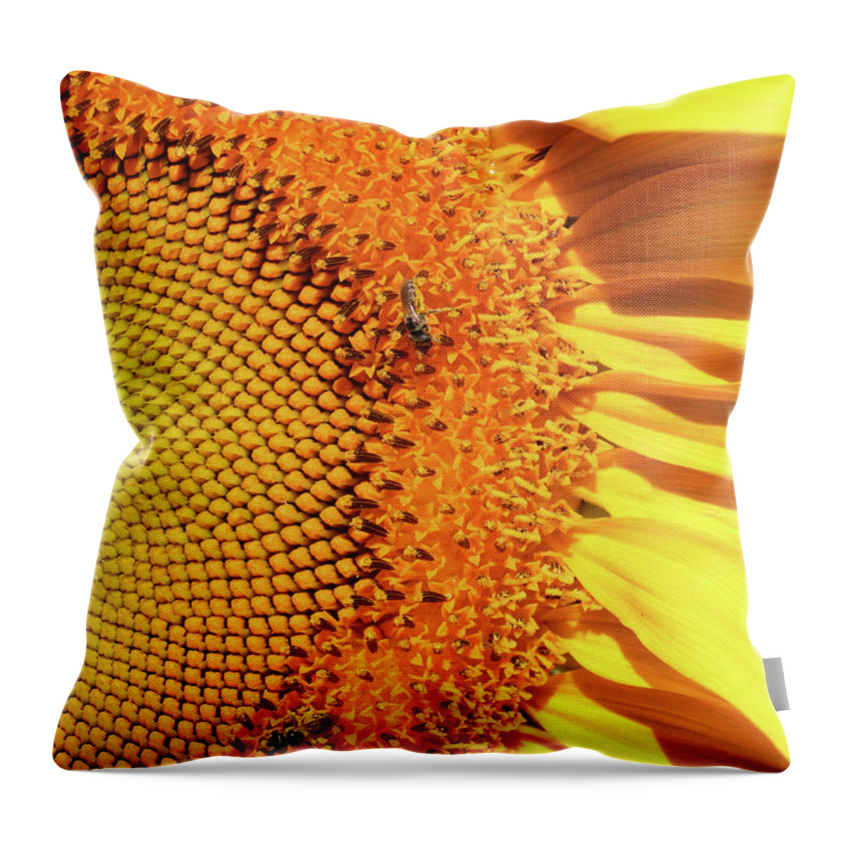 Right Side Throw Pillow featuring the photograph Sunflower Right by Carol Groenen