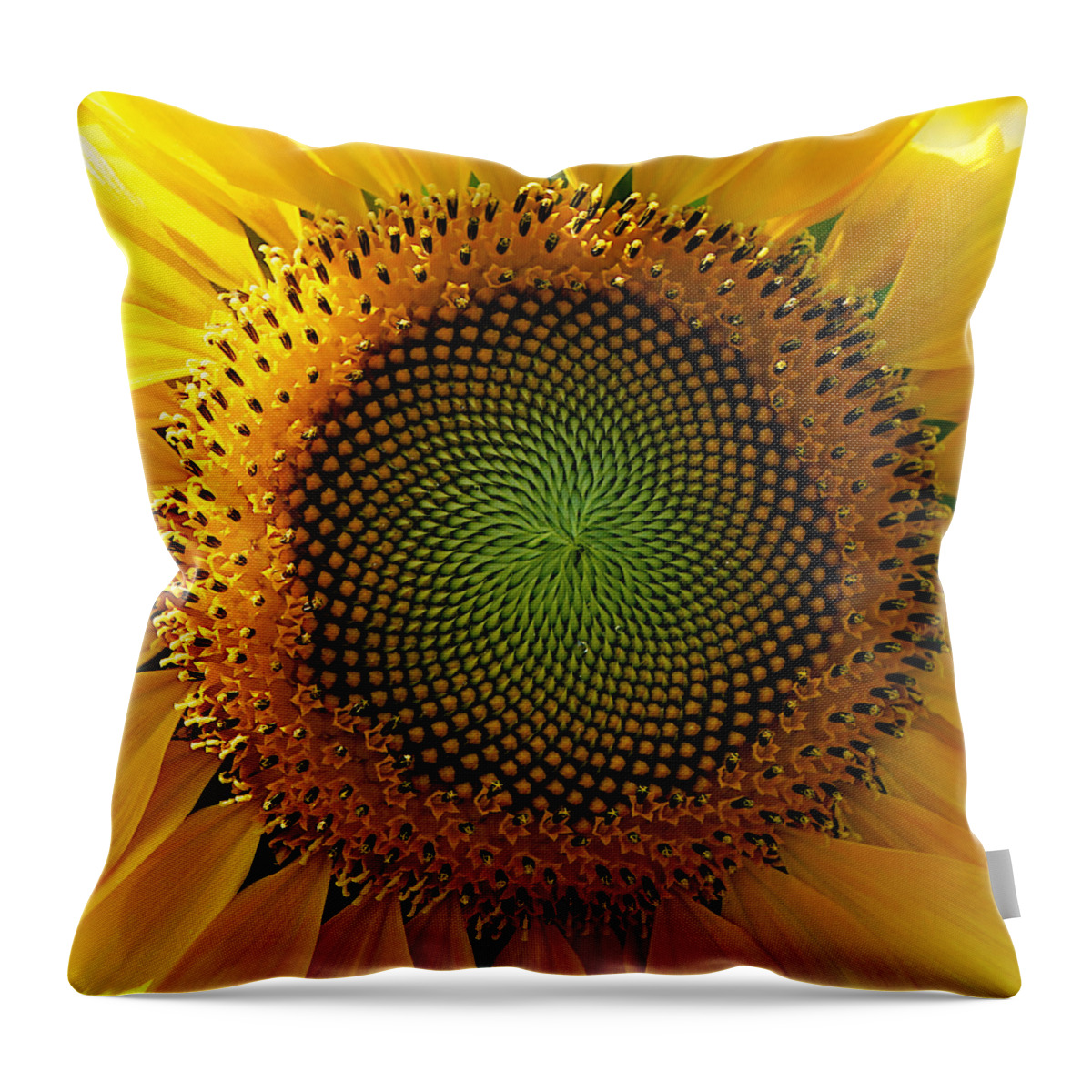 Richard Reeve Throw Pillow featuring the photograph Sunflower Spirals by Richard Reeve