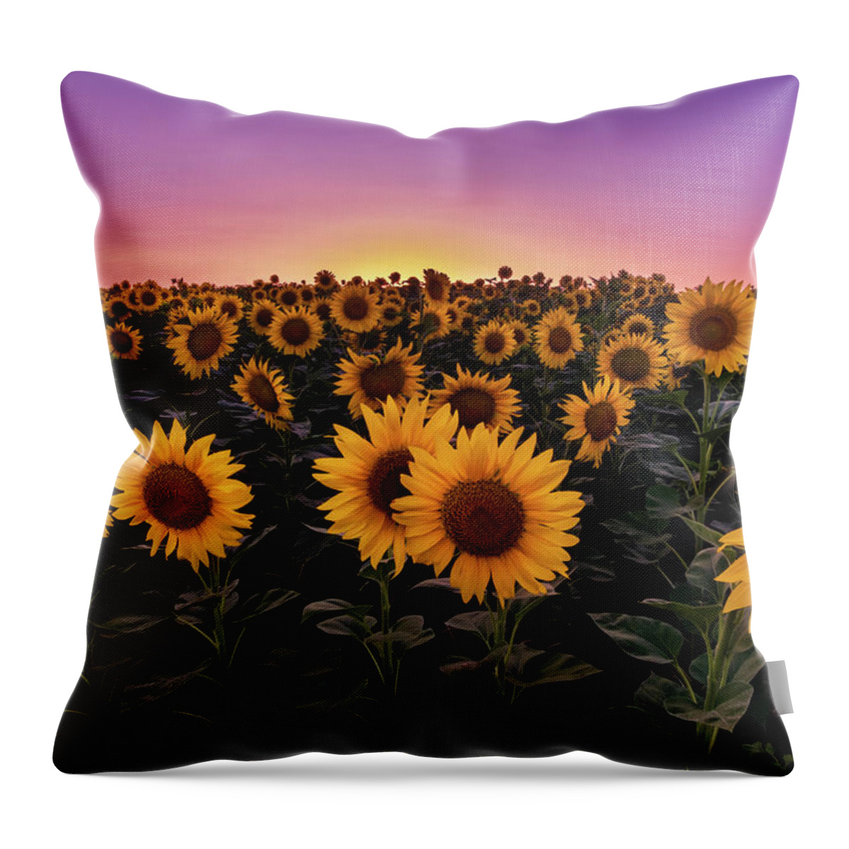 Sunflowers Throw Pillow featuring the photograph Sunflowers by Alexios Ntounas