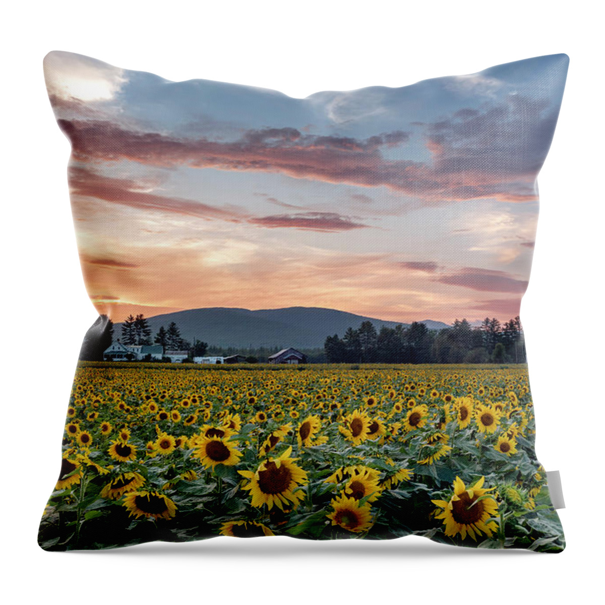 #sunflowers#summer#sunset#fryeburg#maine#farms#landscape#clouds# Throw Pillow featuring the photograph Sunflowers of Summer by Darylann Leonard Photography