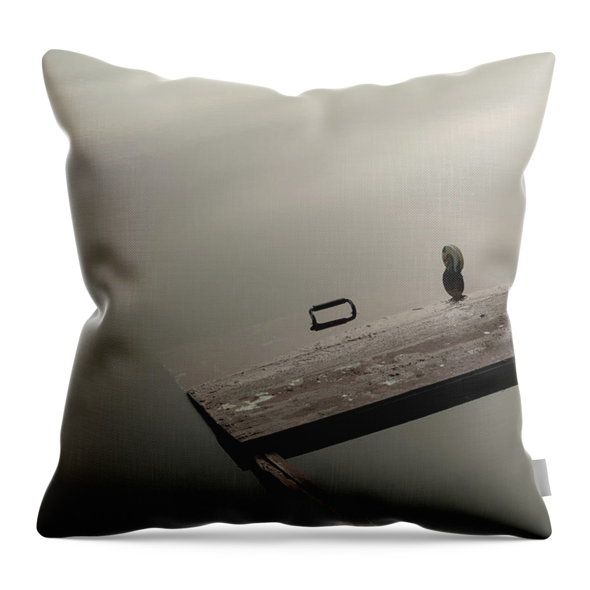Wherry Throw Pillow featuring the photograph Sunken Punt on Minimalist Photograph by Martin Vorel Minimalist Photography