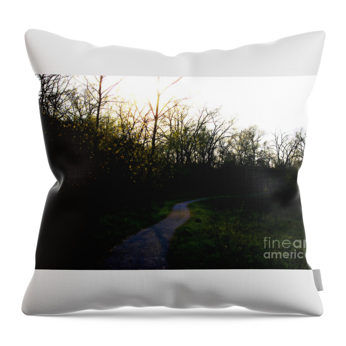 Nature Throw Pillow featuring the photograph Sunlight Through The Trees - Orton Effect by Frank J Casella