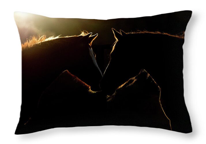 Horse Throw Pillow featuring the digital art Sunrise Companions by Nicole Wilde