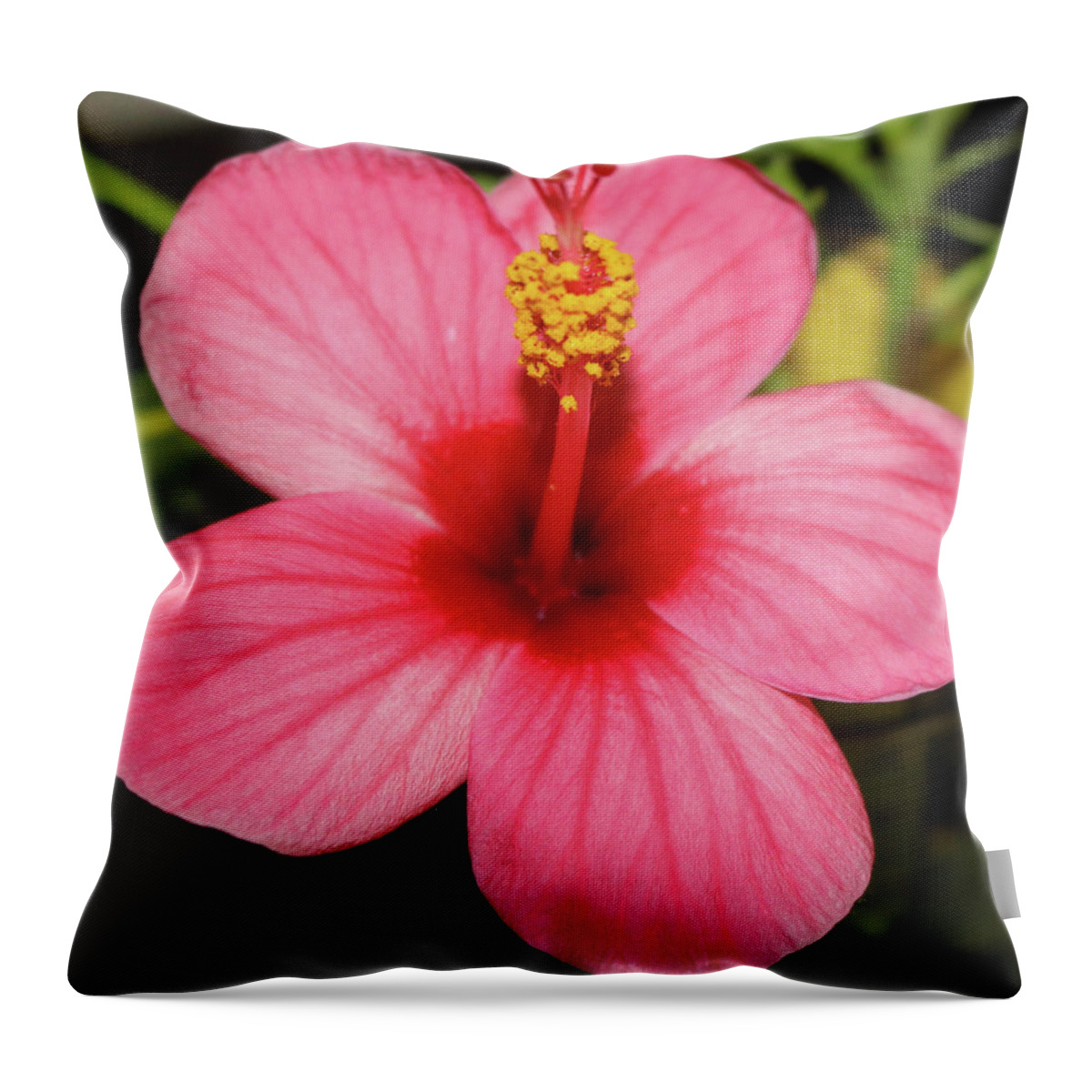 Flowers Throw Pillow featuring the pyrography Sunrise Hibiscus by Tony Spencer